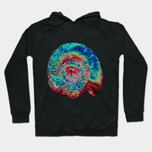 Ammonite Hoodie